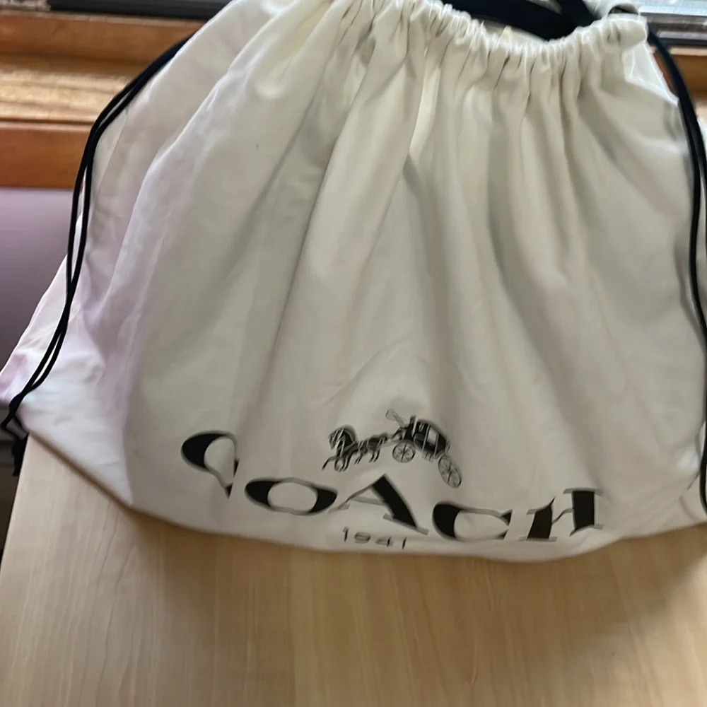 Coach luxury purse